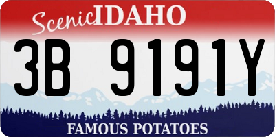 ID license plate 3B9191Y