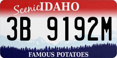 ID license plate 3B9192M