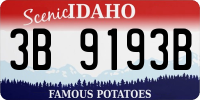 ID license plate 3B9193B