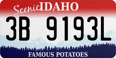 ID license plate 3B9193L