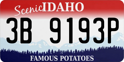 ID license plate 3B9193P