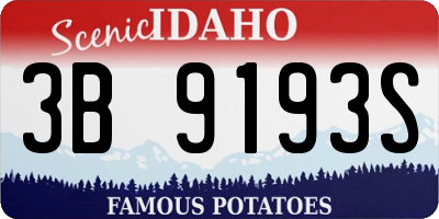 ID license plate 3B9193S