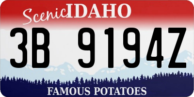 ID license plate 3B9194Z