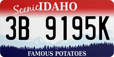 ID license plate 3B9195K