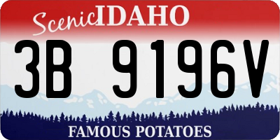 ID license plate 3B9196V