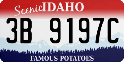 ID license plate 3B9197C