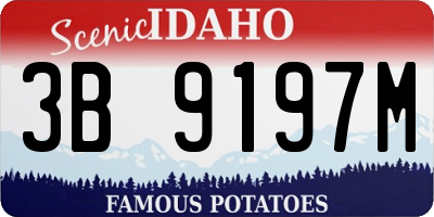 ID license plate 3B9197M