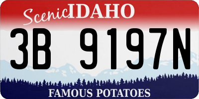 ID license plate 3B9197N
