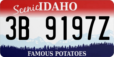 ID license plate 3B9197Z