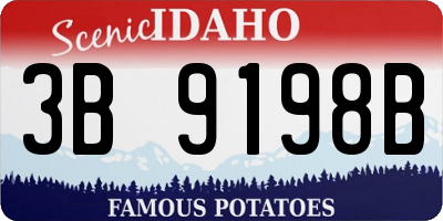 ID license plate 3B9198B