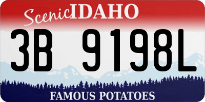 ID license plate 3B9198L