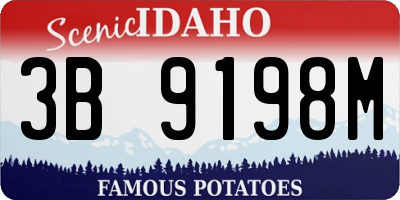 ID license plate 3B9198M