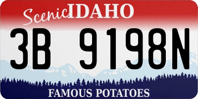 ID license plate 3B9198N
