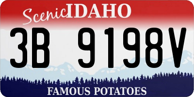 ID license plate 3B9198V