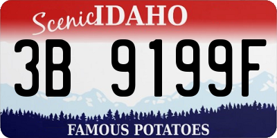 ID license plate 3B9199F