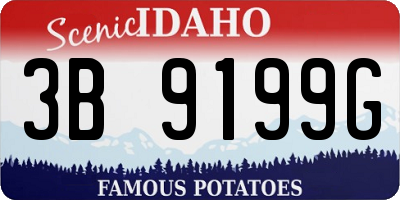 ID license plate 3B9199G