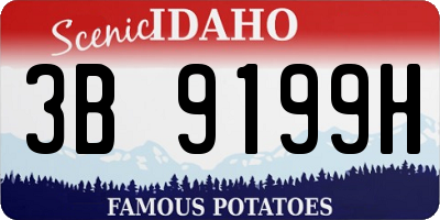 ID license plate 3B9199H