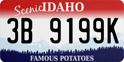 ID license plate 3B9199K