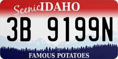 ID license plate 3B9199N