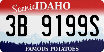 ID license plate 3B9199S