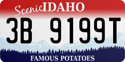 ID license plate 3B9199T