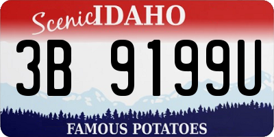 ID license plate 3B9199U