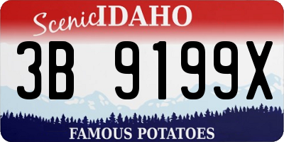 ID license plate 3B9199X