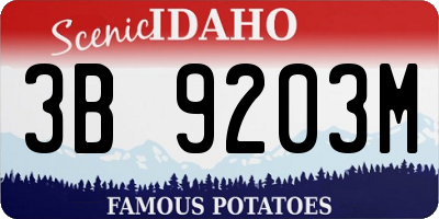 ID license plate 3B9203M
