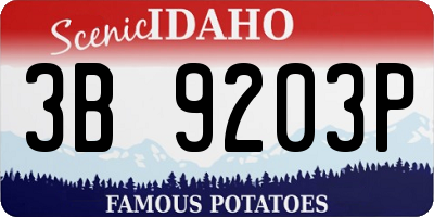 ID license plate 3B9203P