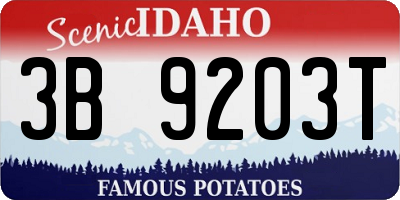 ID license plate 3B9203T
