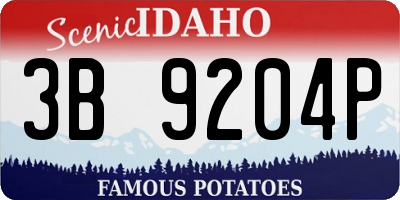 ID license plate 3B9204P