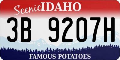 ID license plate 3B9207H