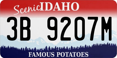 ID license plate 3B9207M