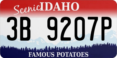ID license plate 3B9207P