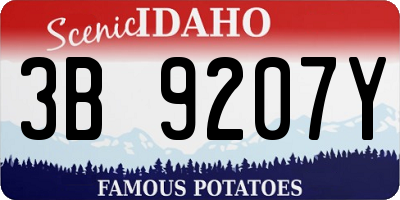 ID license plate 3B9207Y