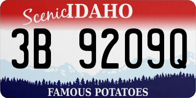 ID license plate 3B9209Q