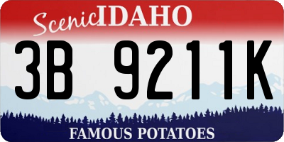 ID license plate 3B9211K