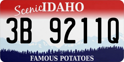 ID license plate 3B9211Q