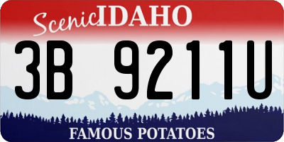 ID license plate 3B9211U