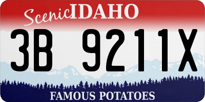ID license plate 3B9211X