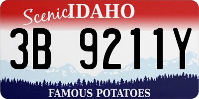 ID license plate 3B9211Y
