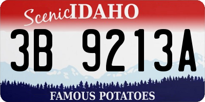 ID license plate 3B9213A