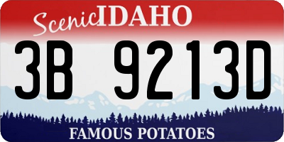 ID license plate 3B9213D
