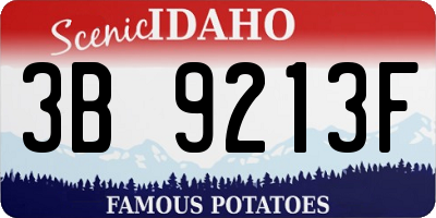 ID license plate 3B9213F