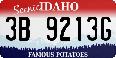 ID license plate 3B9213G