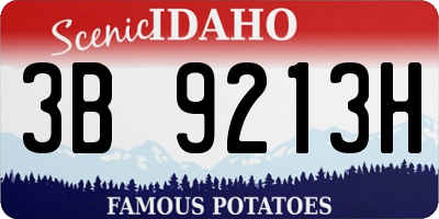 ID license plate 3B9213H