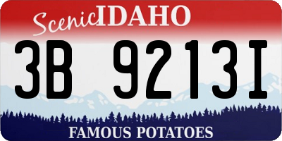 ID license plate 3B9213I