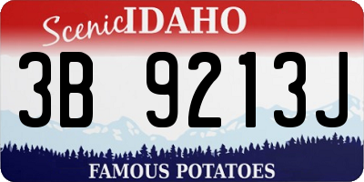 ID license plate 3B9213J