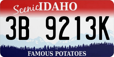 ID license plate 3B9213K