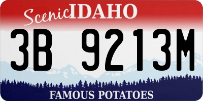 ID license plate 3B9213M